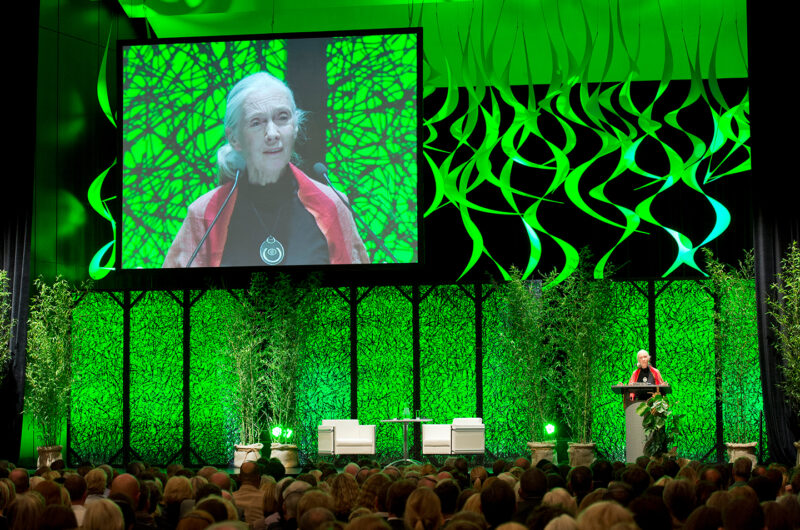 Dr. Jane Goodall, Verhaltensforscherin (Foto: © Cosica)